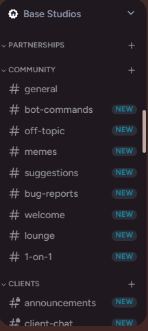 BaseStudios Discord Setup gallery 2