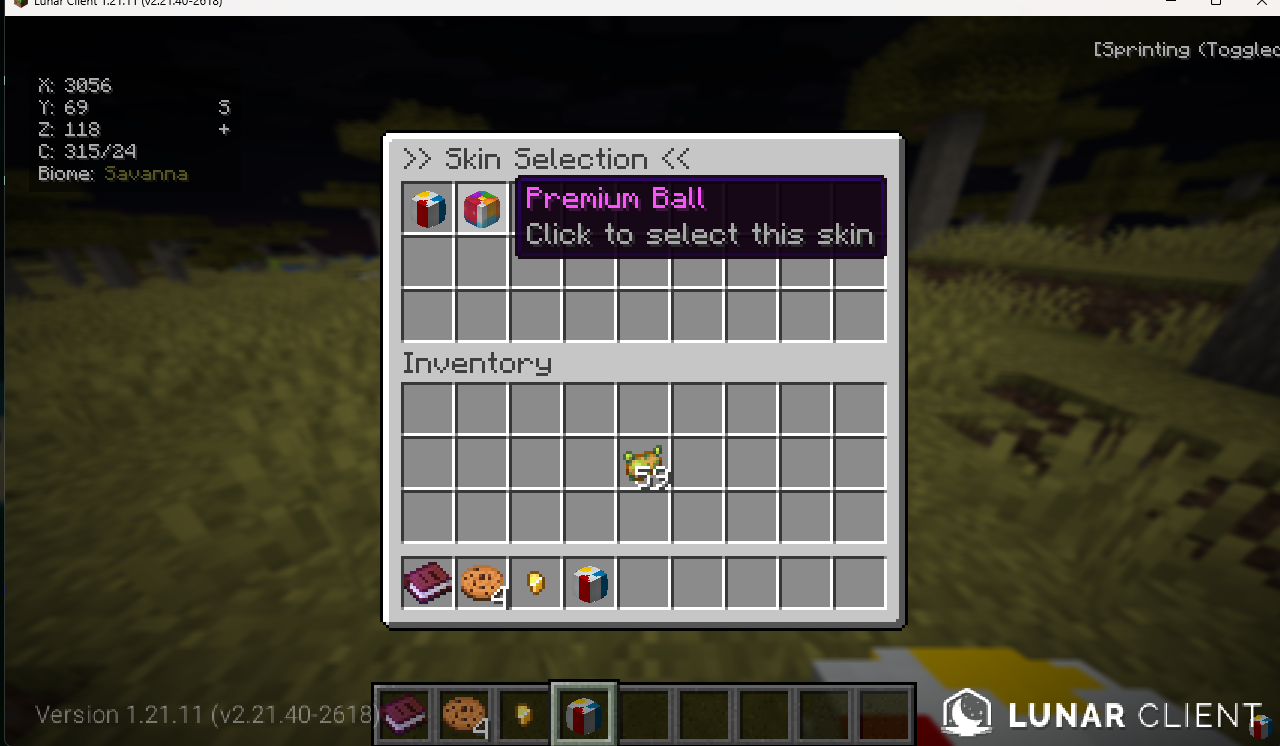 Volleyball Plugin gallery 2