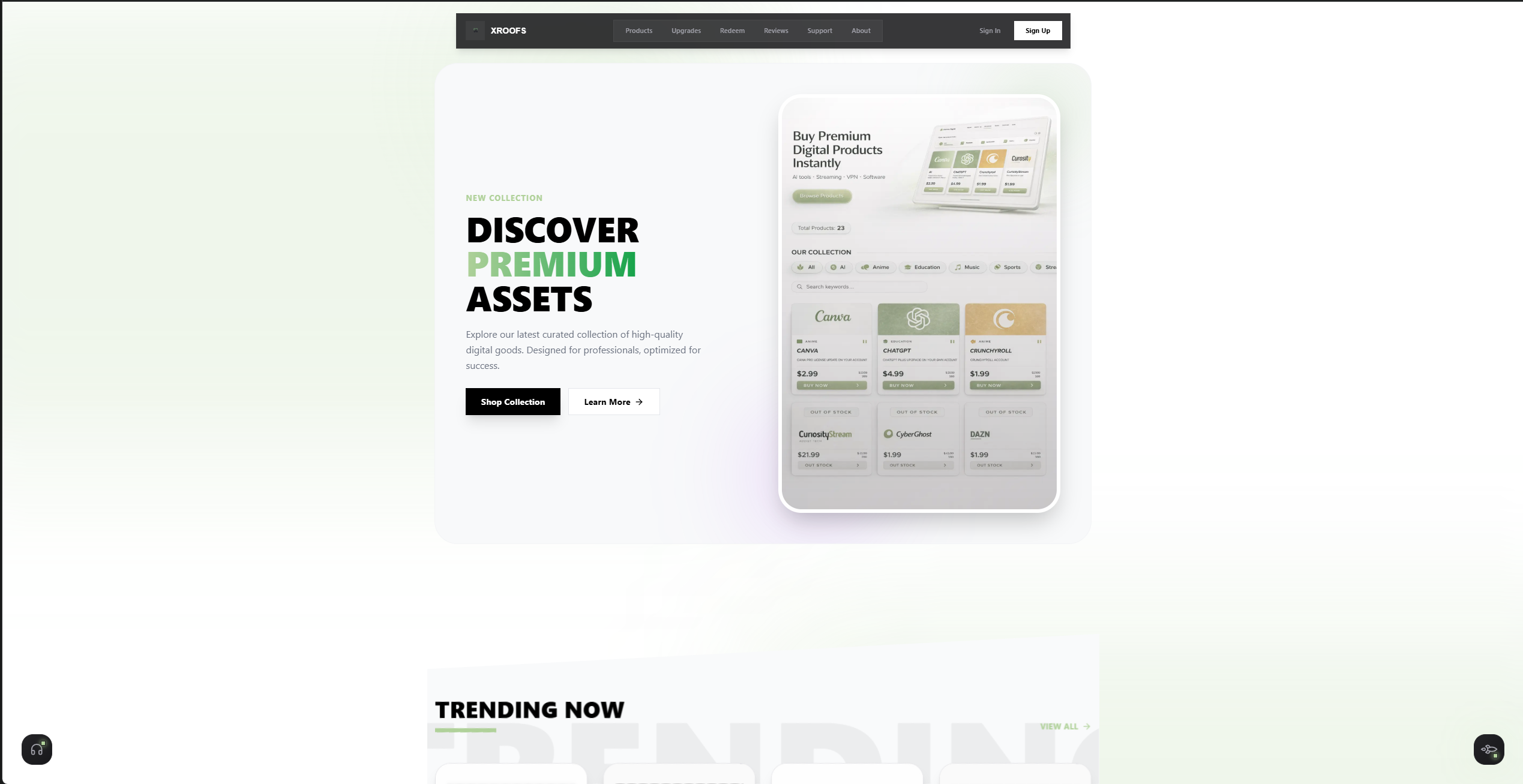 Xroofs Website gallery 1